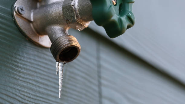 Best Septic Systems  in Salida, CO